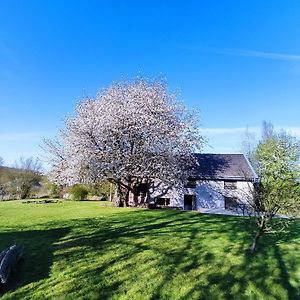 Gerestaureerde Hoeve Met Zicht